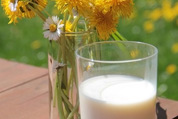 Glampingunterkunft: Urlaub auf dem Bauernhof. Auf unserem vollbewirtschafteten Milchviehbetrieb können Sie das Melken und Füttern täglich miterleben. - Zirkuswagen auf dem Ur Laub`s Hof